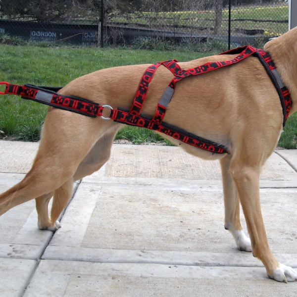 WheelDog_Harness_red